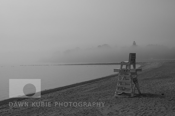 Lifeguard chair and fog