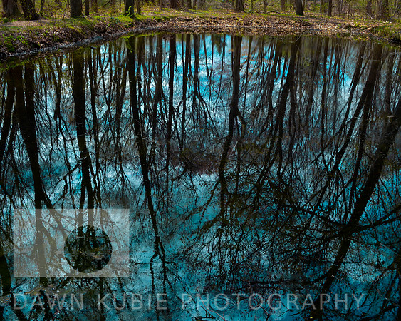 Aqua reflection