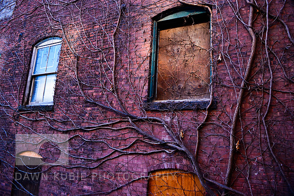 Brick wall with tree